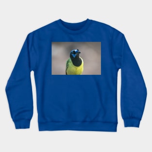 Who Is Watching Who Crewneck Sweatshirt